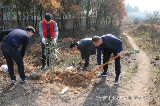 用雙手營(yíng)造綠色環(huán)境 用汗水創(chuàng)建文明家園